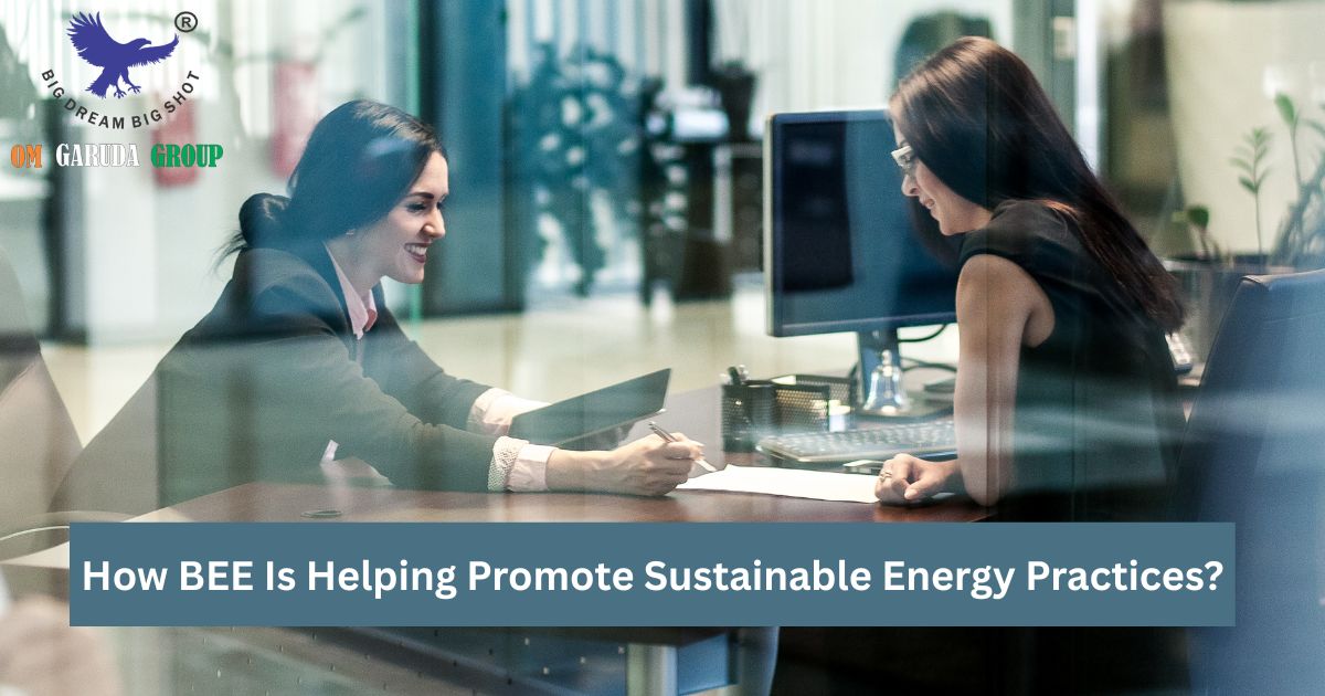 How BEE Is Helping Promote Sustainable Energy Practices?